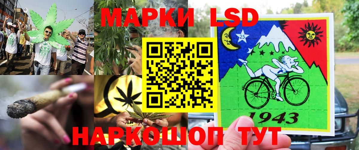 Наркотические марки 1,8мг  Наркотические марки 1,8мг  Вход с VPN  Нововоронеж 