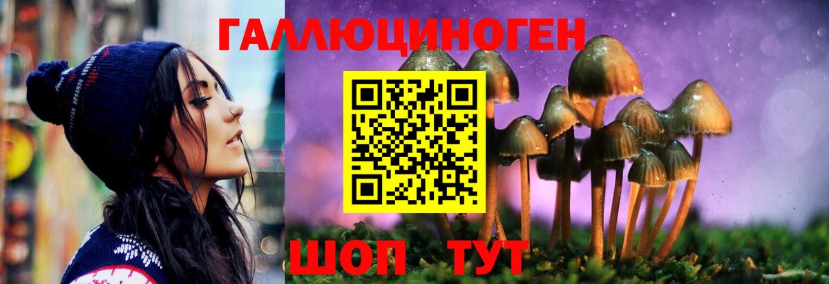 Галлюциногенные грибы Magic Shrooms Нововоронеж